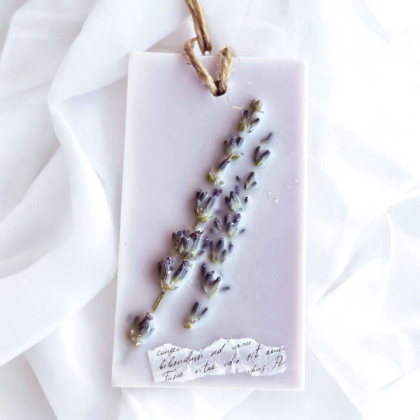 Purple Lavender