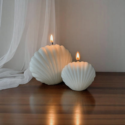 Seashell Serenity