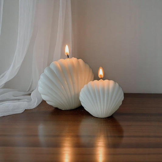 Seashell Serenity