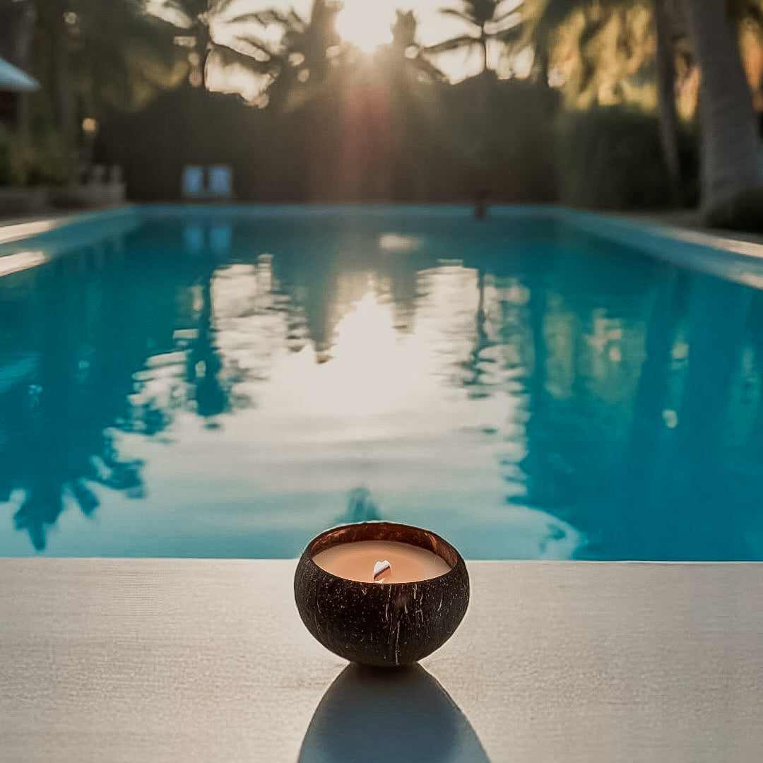 Coconut Dream