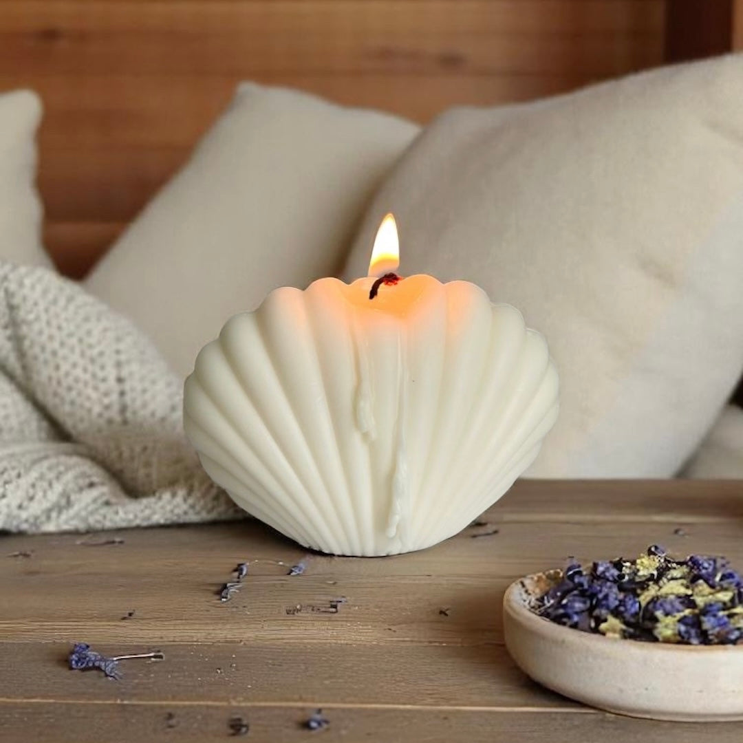Seashell Serenity